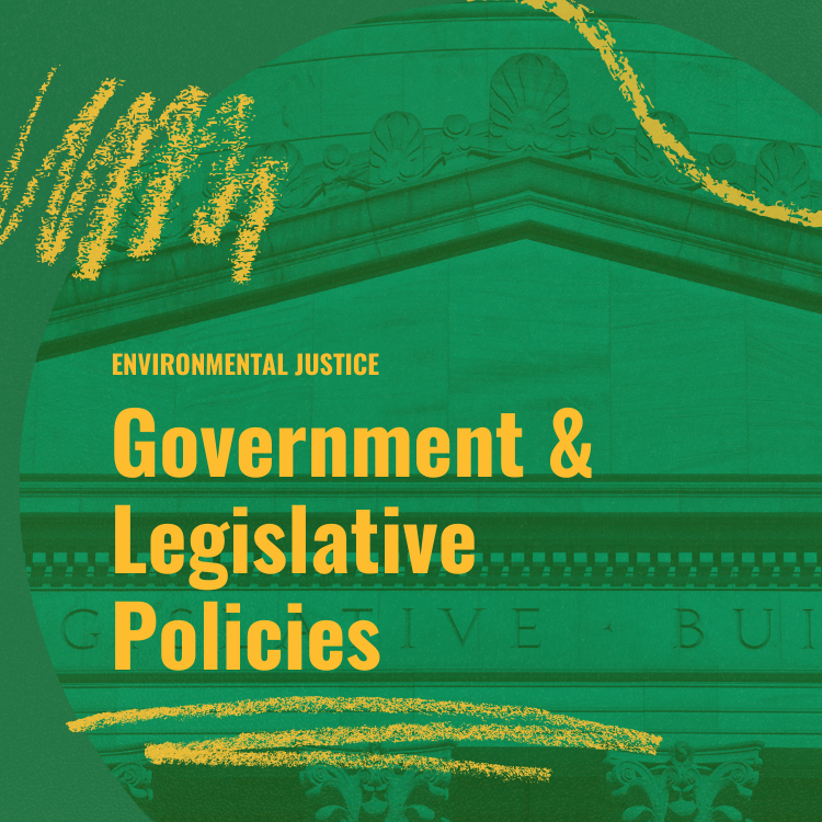 Government & Legislative Policies cover with legislative building in background