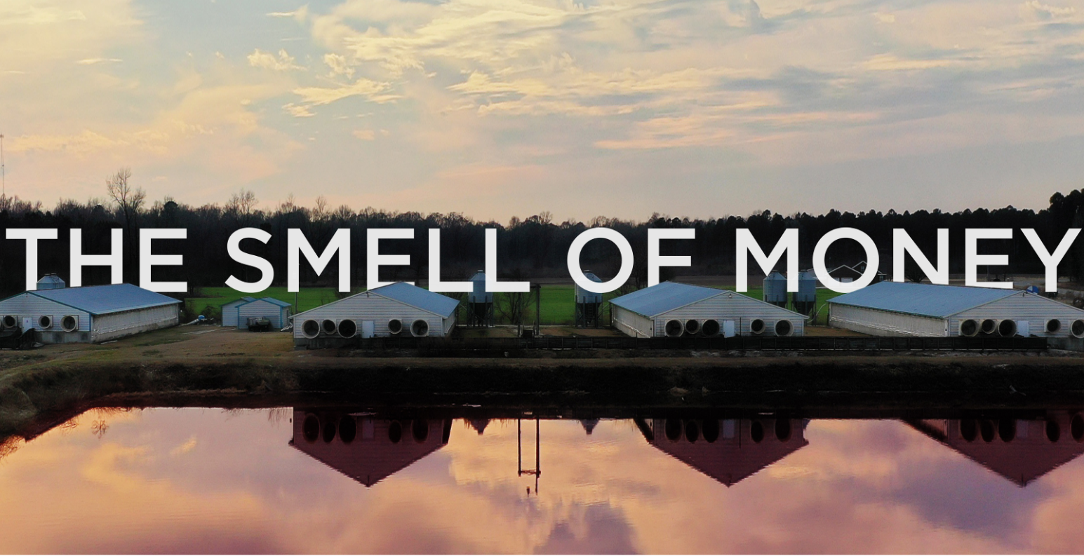 The Smell of Money Movie poster image with hog farm polluted with pink and red water