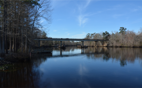 For decades, the Chemours Company's chemical plant has been dumping Gen-X and other harmful chemicals, known as PFAS, into the Cape Fear River.