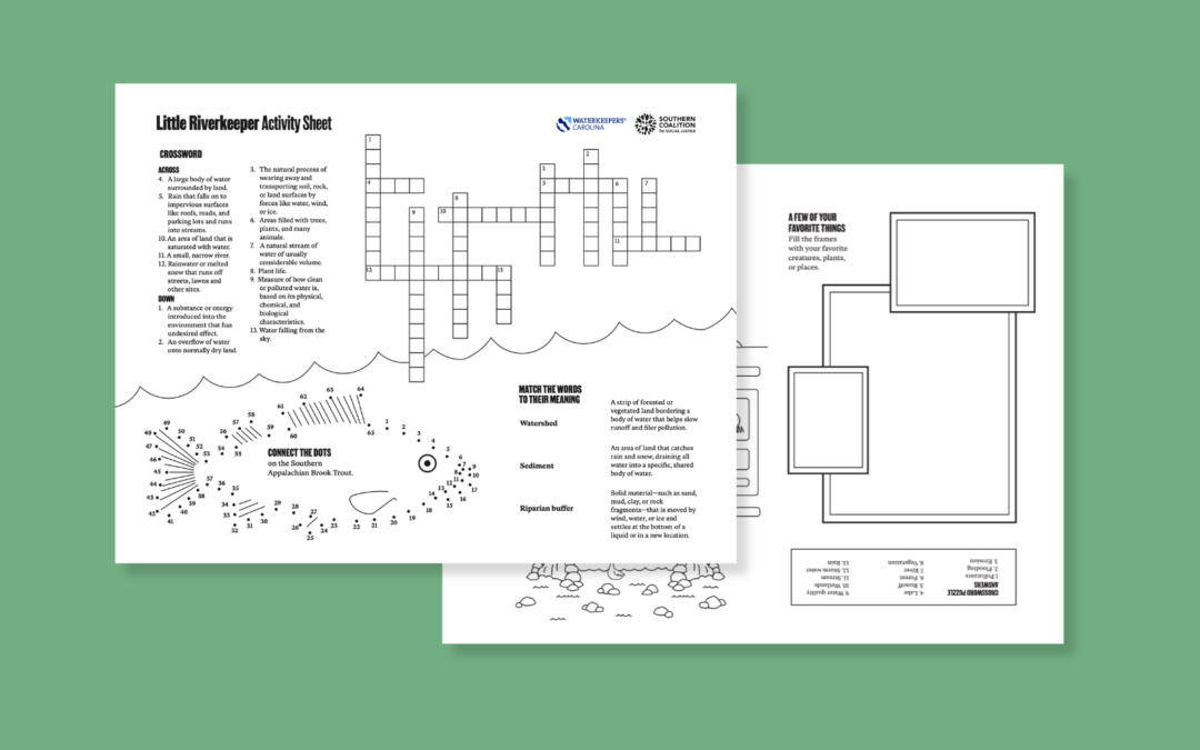 Little Riverkeeper Activity sheet front and backside depicting a crossword puzzle, connect the dots drawing, maze, and space for personal illustration