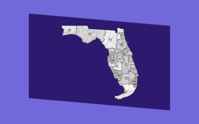 Voting Rights Groups Will Appeal Ruling on DeSantis Partisan Map