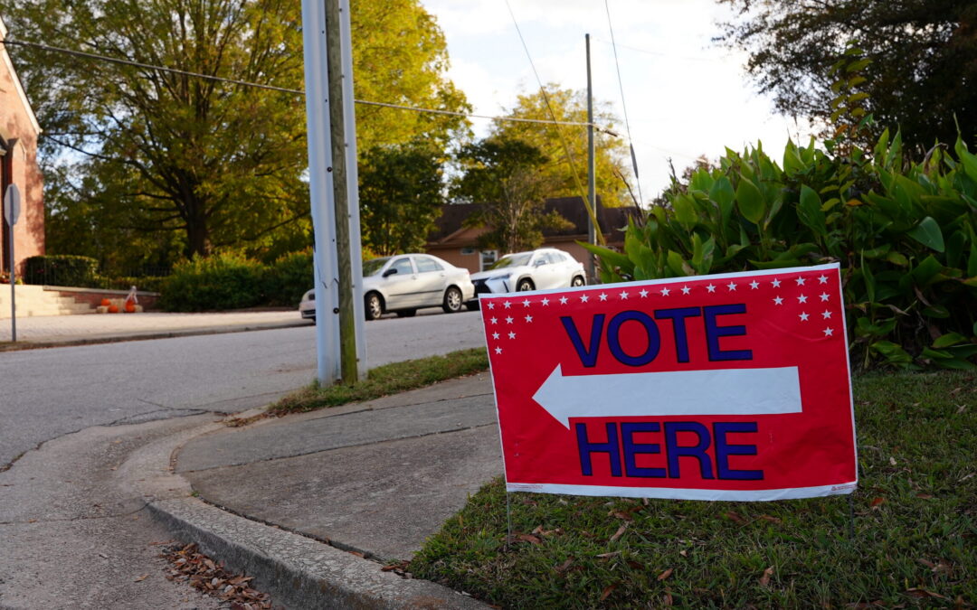 DSC00365 "Vote here" sign