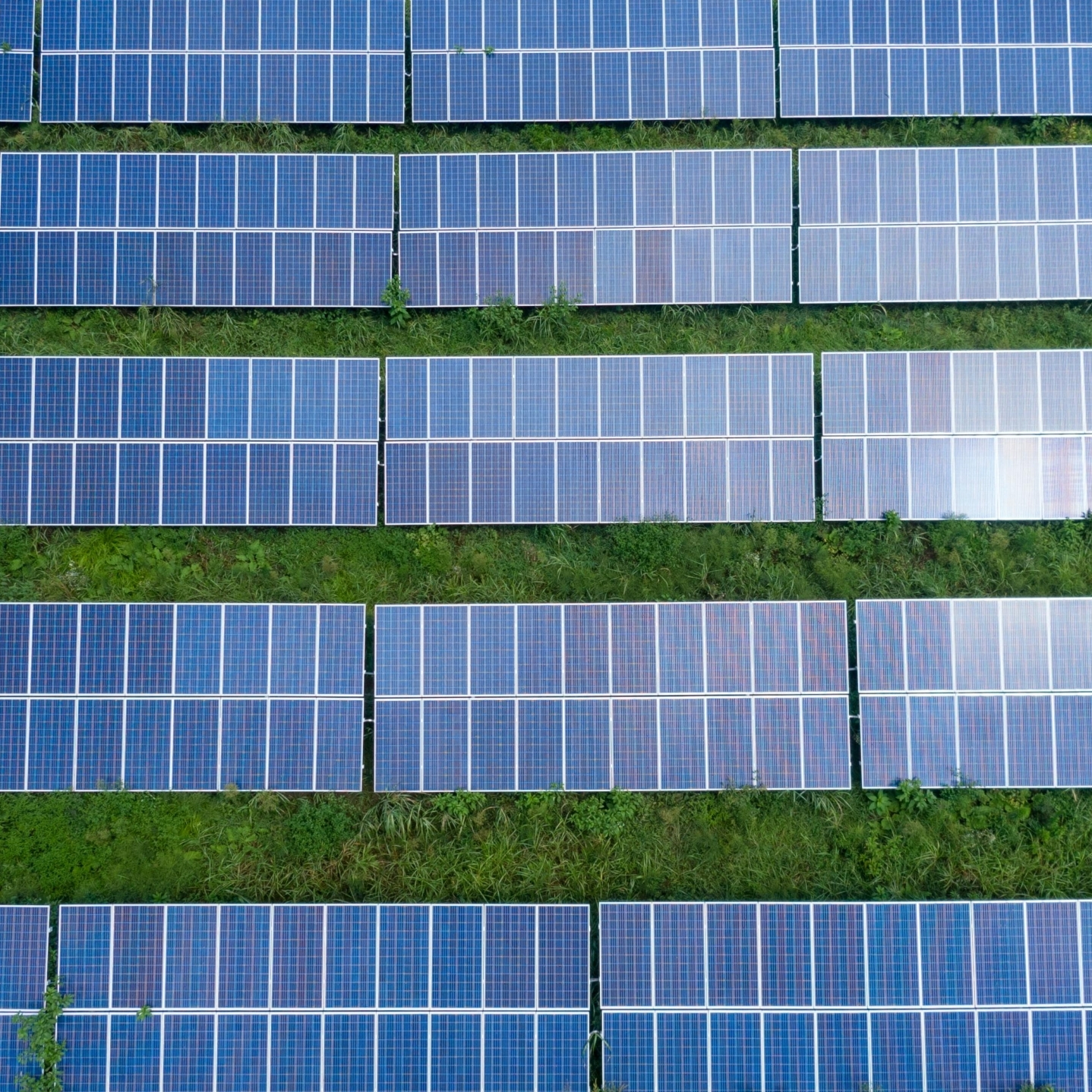 pexels-kelly-1179532-2800832 Solar panels in a field